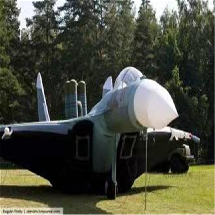 钦州充气模型飞机制造商家